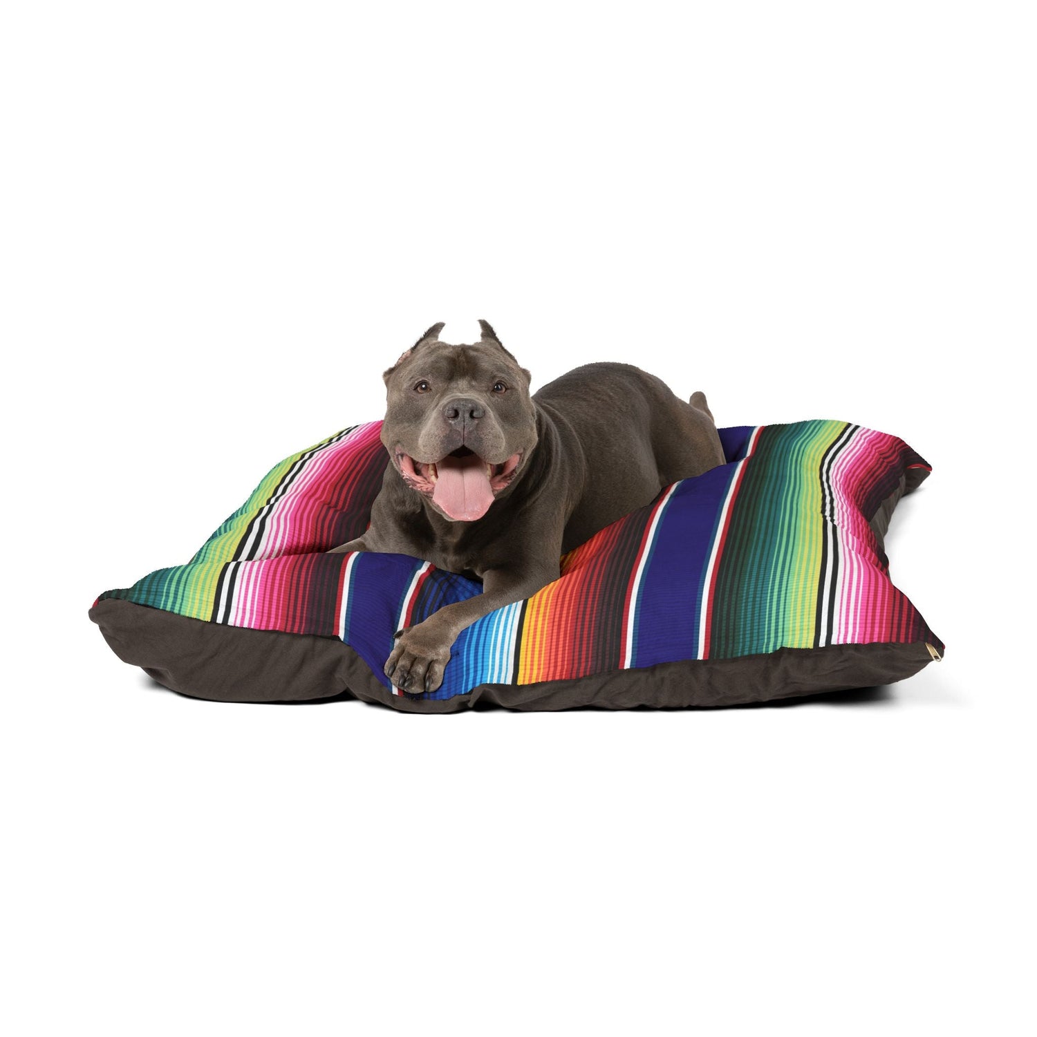 Pet Beds